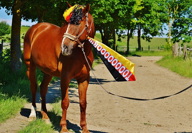 般的速度和 般的速度和