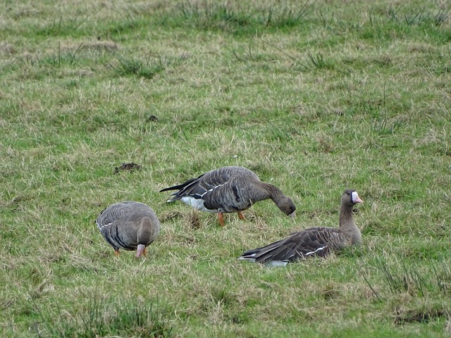 多优秀选手 多优秀选手