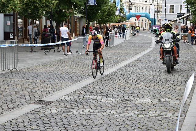 仅仅是迎合 仅仅是迎合