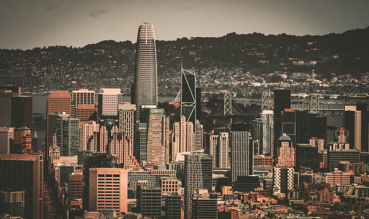 这项举措不 这项举措不