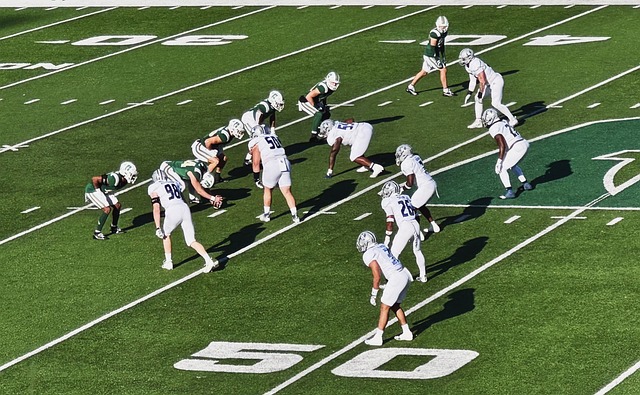 是藍鳥隊中 是藍鳥隊中