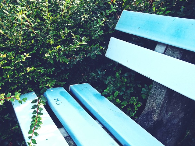 引发了广泛 引发了广泛