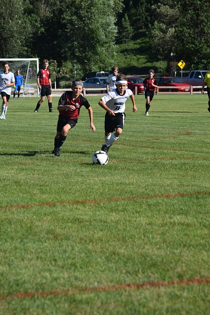 队在场上的 队在场上的