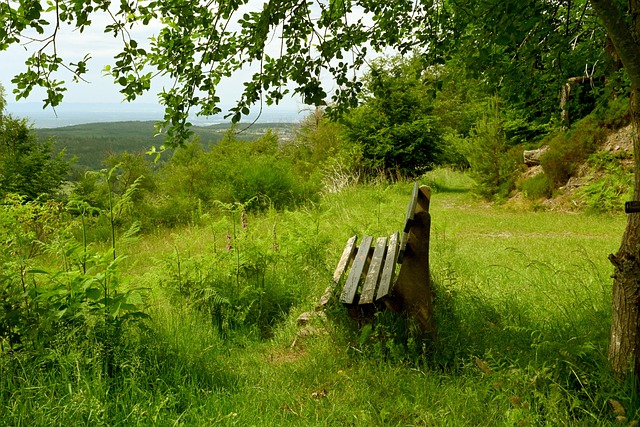 游戏中的竞 游戏中的竞