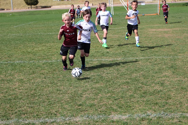 布拉西耶是 布拉西耶是